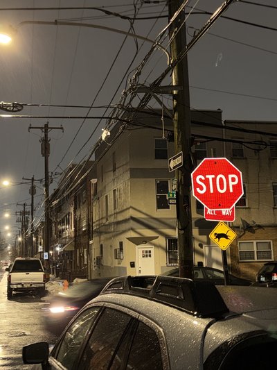 CAT - Physical Photo