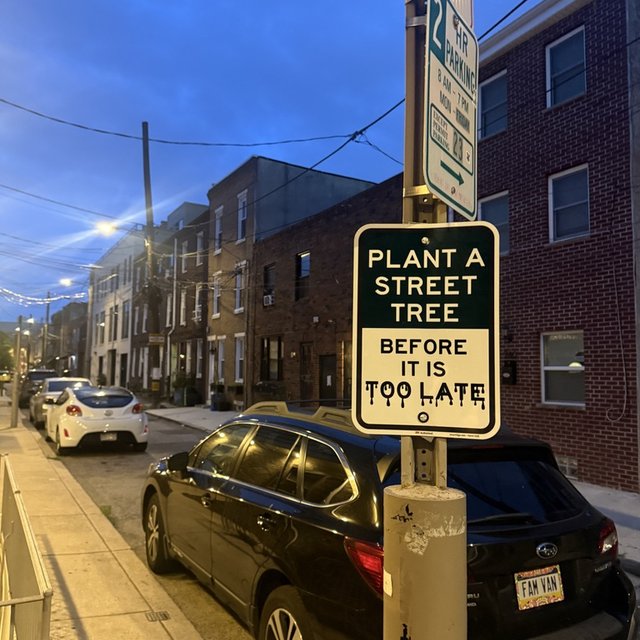 TOO LATE - Photo