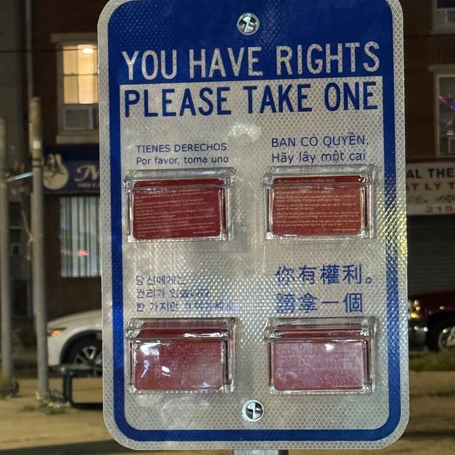 YOU HAVE RIGHTS - Photo