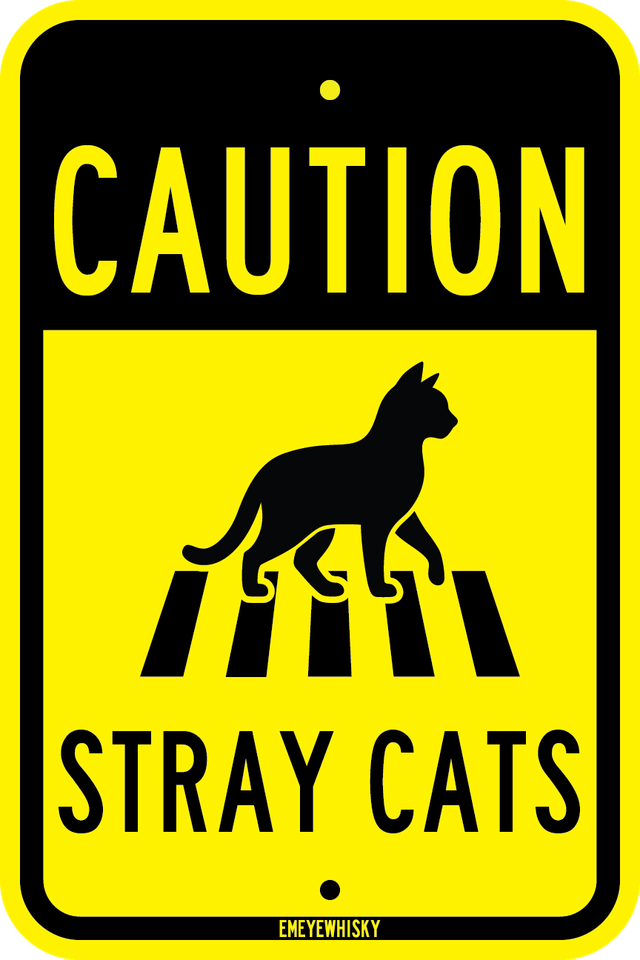 STRAY CATS